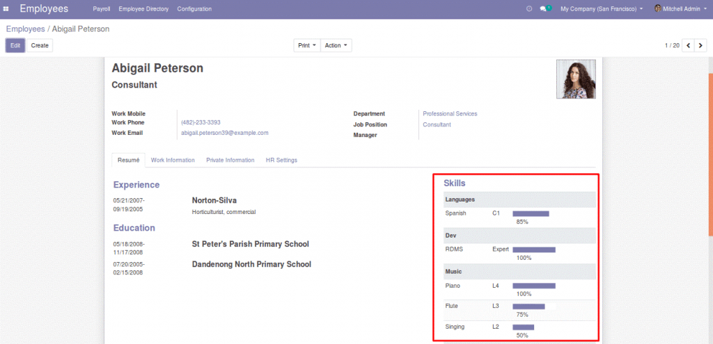 Odoo 13 module quản lý kỹ năng
