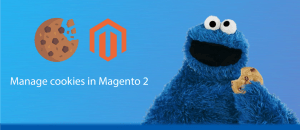manage cookie in magento 2