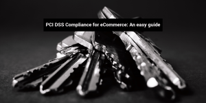 pci dss guide for ecommerce