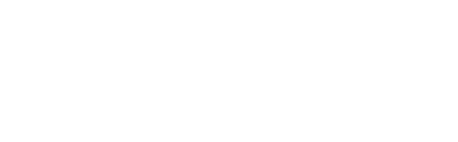 magenest logo white