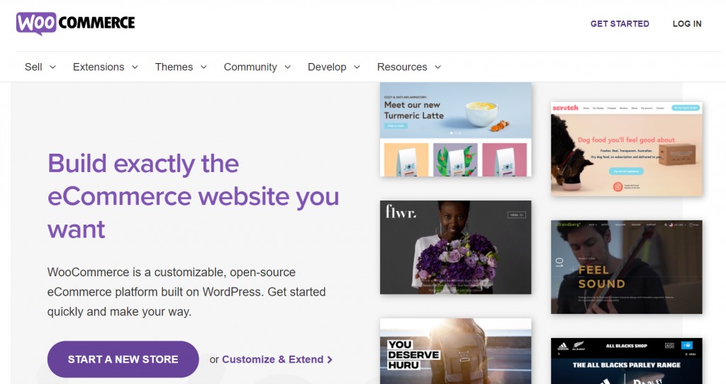 Top best free eCommerce website builders: WooCommerce website