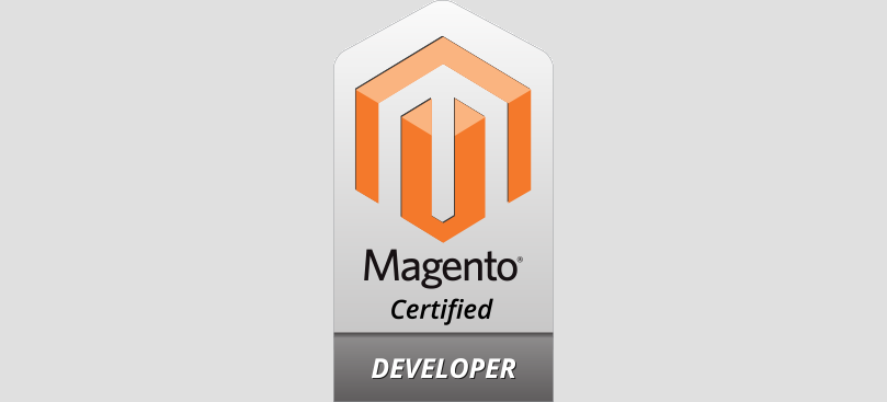 Magento 2 Professional Developer Plus