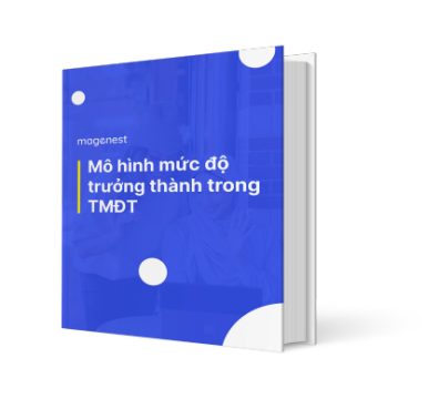 Mô hình đánh giá Mức độ trưởng thành trong Thương mại điện tử