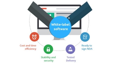White-labeling is another types of eCommerce business models 