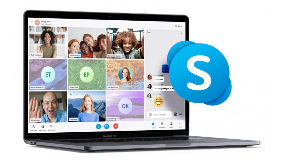Skype is a bright example among top B2B business companies 