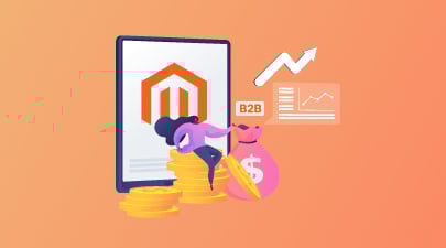 Magento B2B Pricing: How Much Does a Magento B2B Web Cost