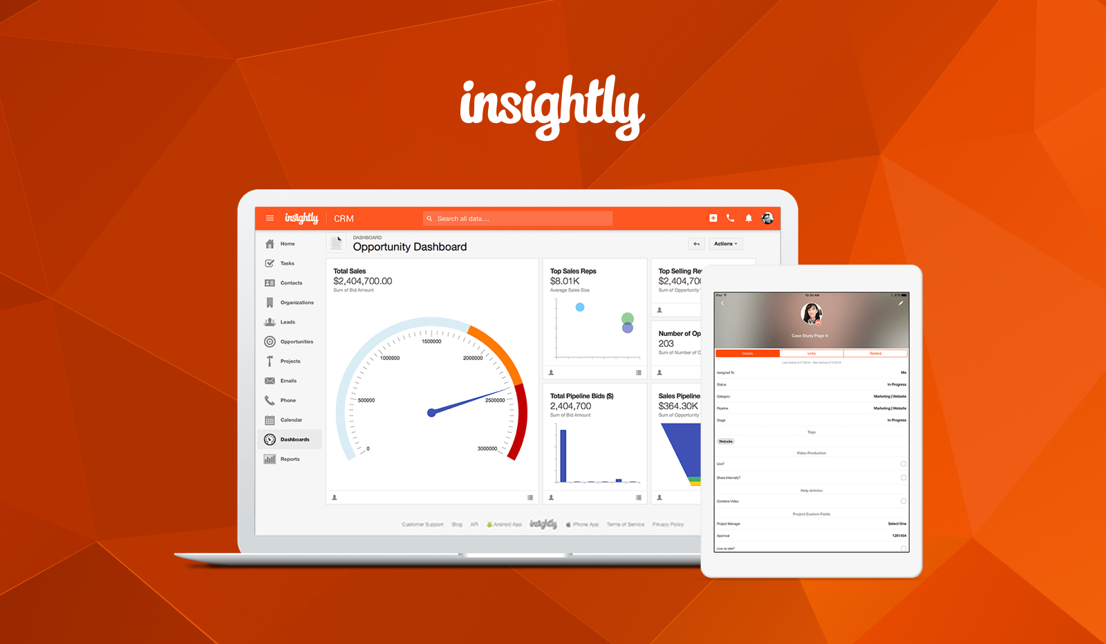 Insightly is well-suited CRM Software for Small Business