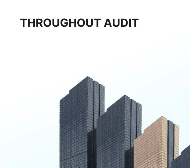 magnto audit
