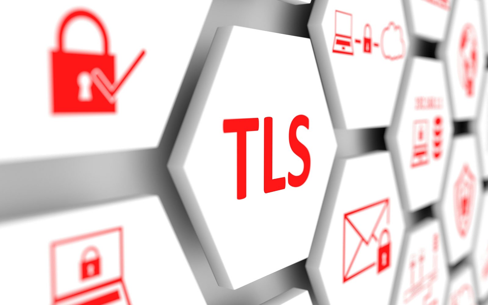 Transport Layer Security (TLS)