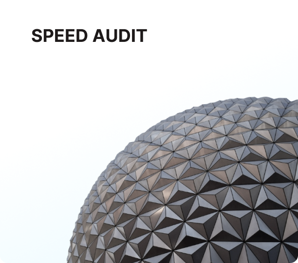 Speed audit