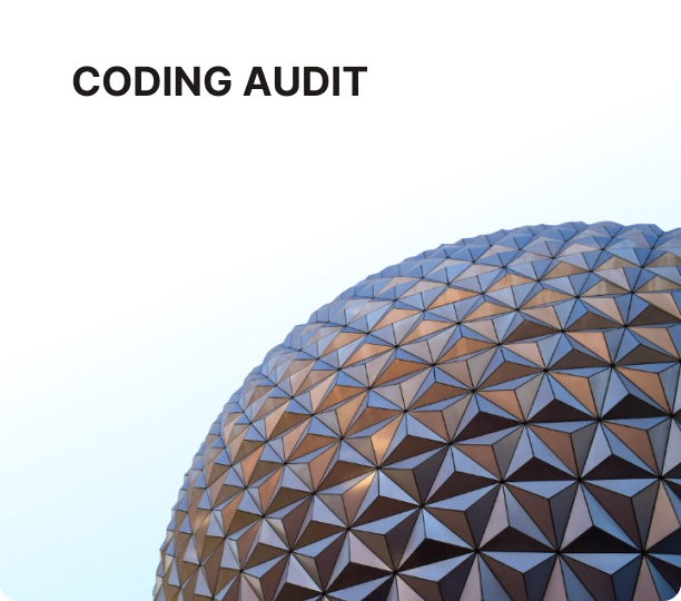 Coding audit