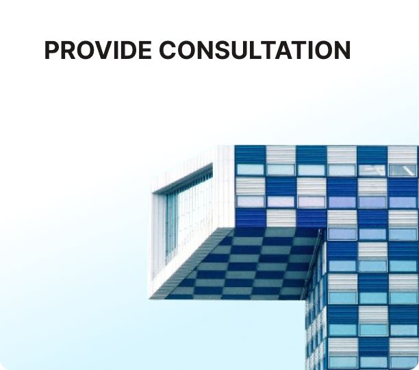Provide consultation