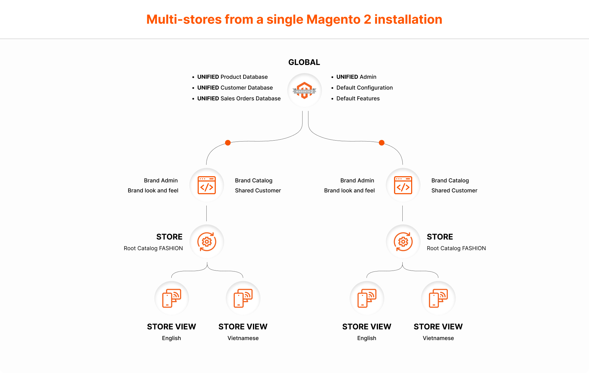 Multi stores management Magento development