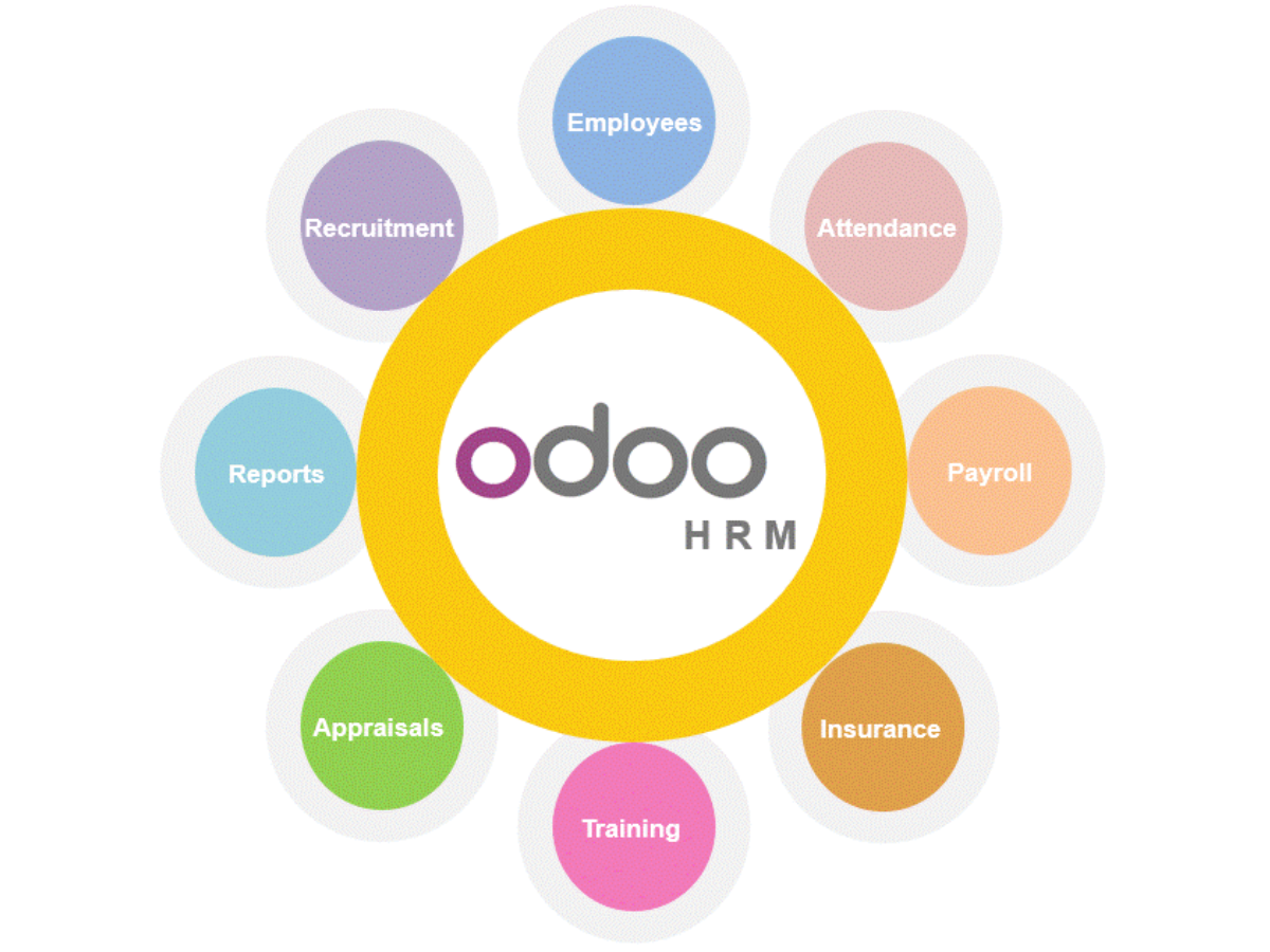 Phần mềm quản lý nhân sự Odoo