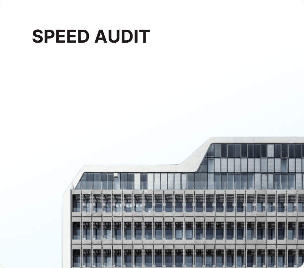speed audit