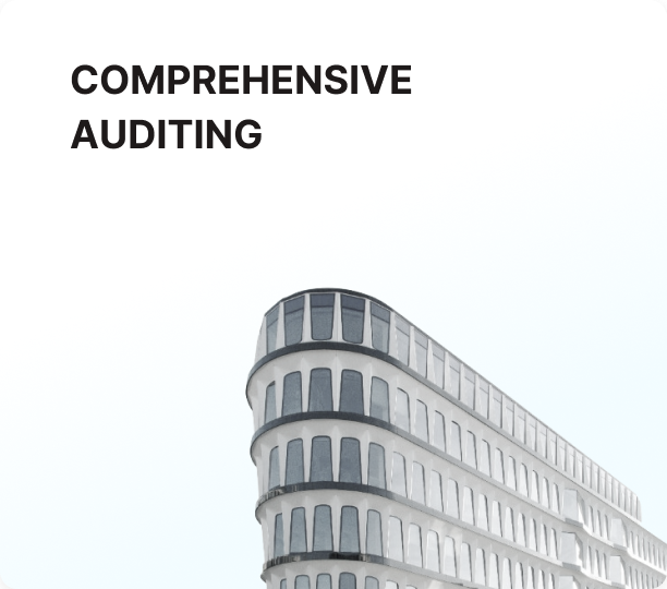 comprehensive auditing