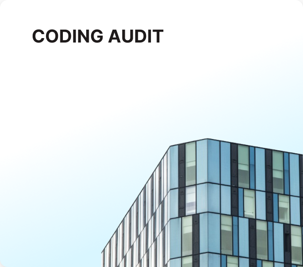 coding audit