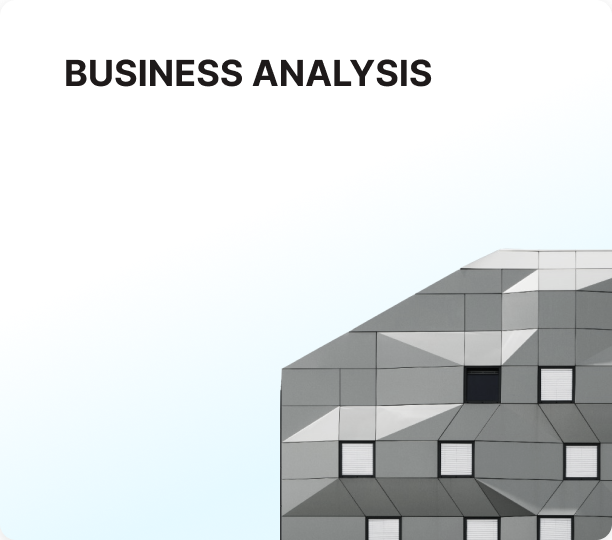 Business analysis
