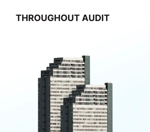 Throughout audit