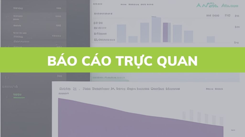 Báo cáo trực quan