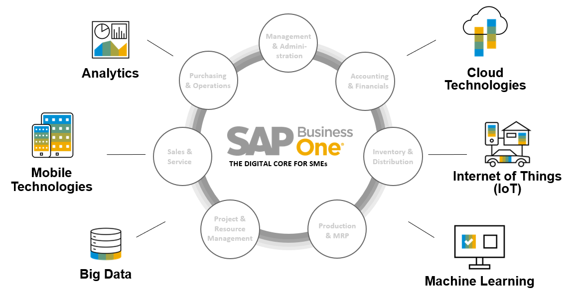 Top 5 phần mềm ERP tốt nhất hiện nay: ERP SAP Business One