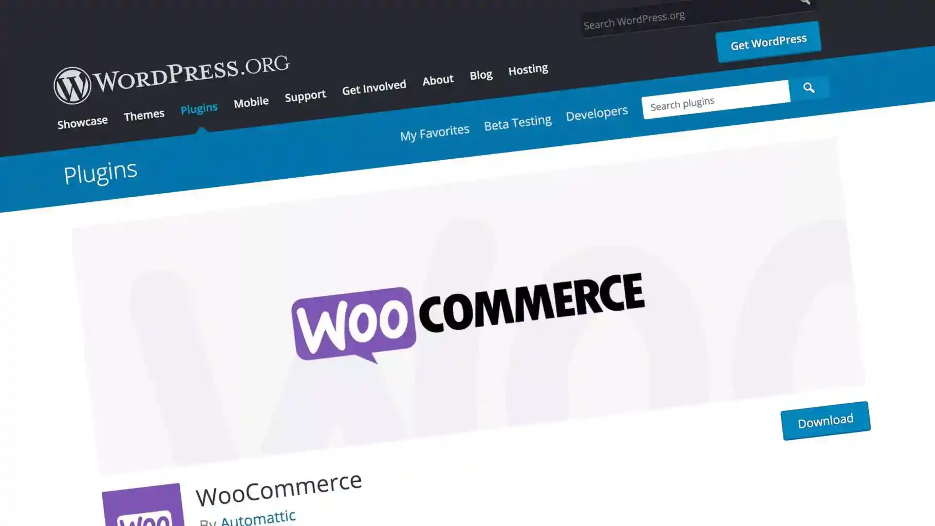 WooCommerce advantages and disadvantages