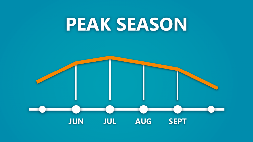 Peak Sales Seasons