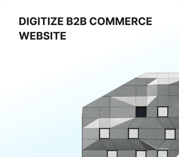 digitize B2B website