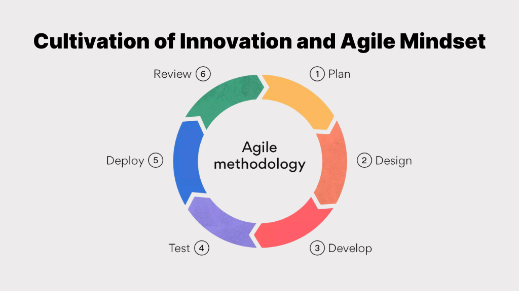 Cultivation of Innovation and Agile Mindset with Digital Transformation Agencies