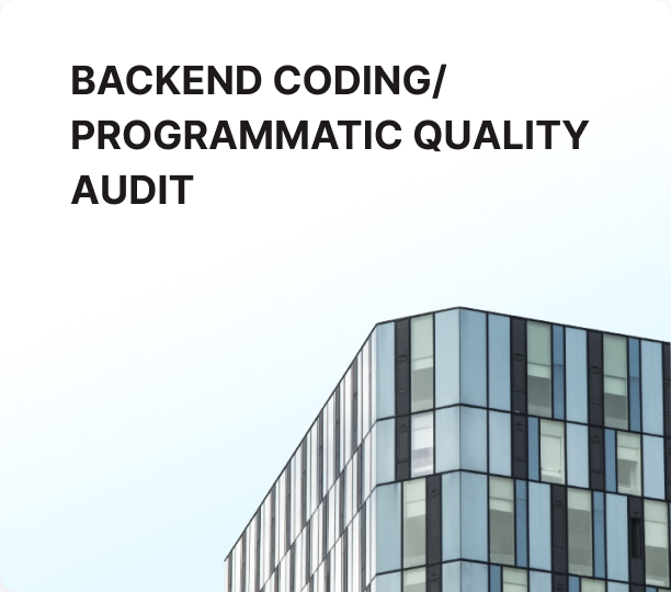 Backend coding/programmatic quality audit