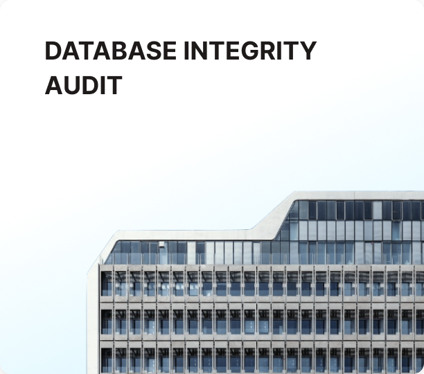 Database integrity audit