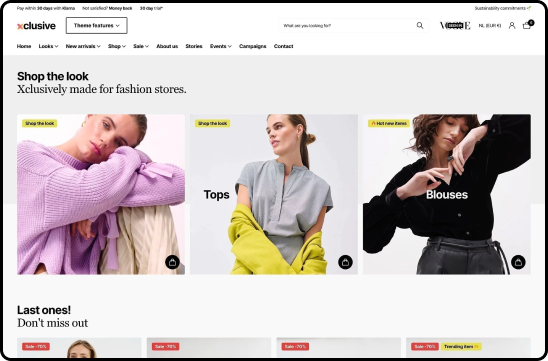 Shopify Website Design Services by Elite Shopify Partner