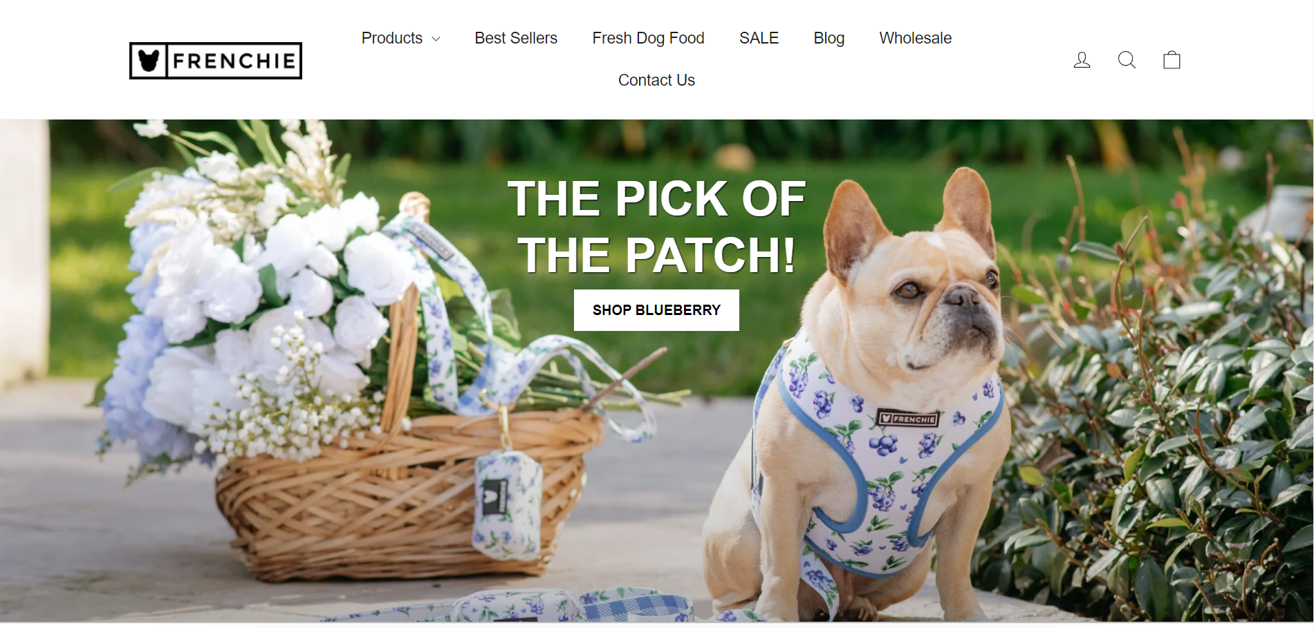 frenchie bulldog best shopify pet stores