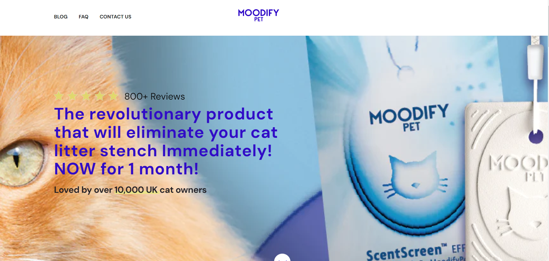 moodify pet best shopify pet stores
