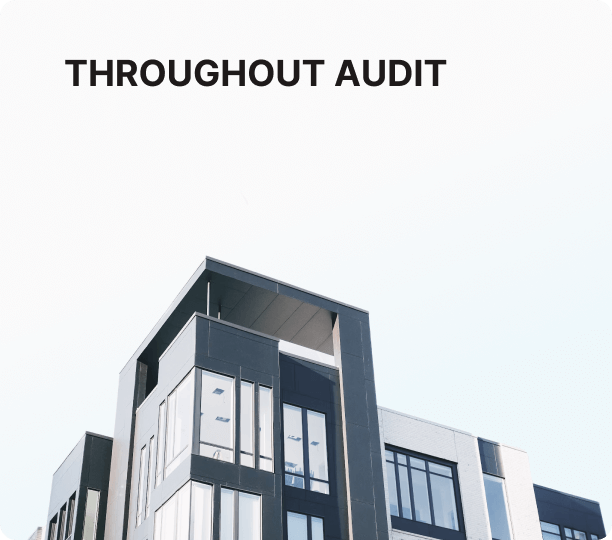 throughout audit