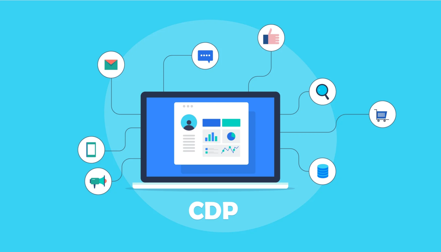 Customer Data Platforms (CDPs)
