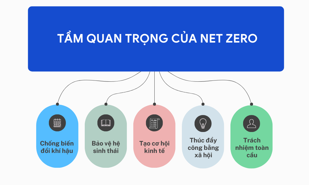 Chuyển Đổi Số Xanh Và Hành Trình Tiến Tới Mục Tiêu Net-Zero