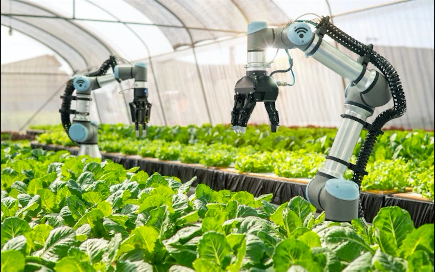 Chuyển Đổi Số Xanh Và Hành Trình Tiến Tới Mục Tiêu Net-Zero