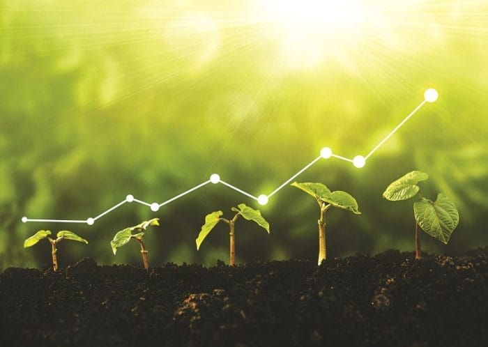 Chuyển Đổi Số Xanh Và Hành Trình Tiến Tới Mục Tiêu Net-Zero