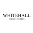 whitehall-logo